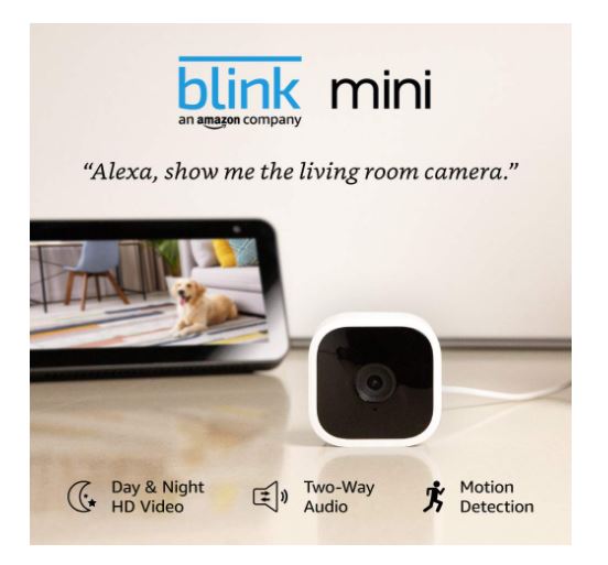 BLK100 BLINK MINI (Works with Alexa and Google Assistant