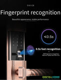 DX200 Antique Style Fingerprint Smart Lock - digitalhome.ph