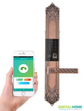 Dx200 Antique Style Smart Lock