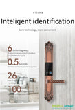DX200 Antique Style Fingerprint Smart Lock - digitalhome.ph