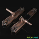 DX200 Antique Style Fingerprint Smart Lock - digitalhome.ph