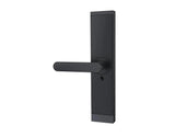 BT550 Mortise Smart Lock