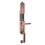DX300 Luxury Grip Handle Fingerprint Smart Lock - digitalhome.ph