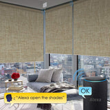 BM100 Smart Motorized Blinds (Works with Alexa and Google Assistant) - digitalhome.ph