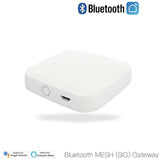 GZ150 Digitalhome Bluetooth Gateway (Works with Alexa and Google Assistant) - digitalhome.ph