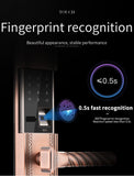 DX300 Luxury Grip Handle Fingerprint Smart Lock - digitalhome.ph