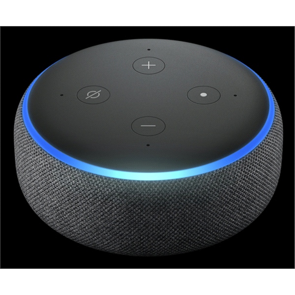 Amazon echo online dot cheapest price
