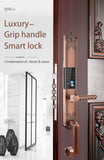DX300 Luxury Grip Handle Fingerprint Smart Lock - shop_name