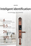 DX300 Luxury Grip Handle Fingerprint Smart Lock - shop_name